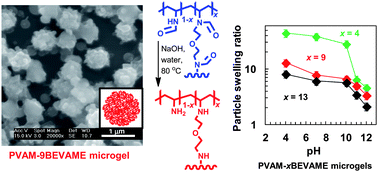 Graphical abstract: Poly(vinylamine) microgels: pH-responsive particles with high primary amine contents