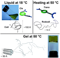 Graphical abstract: Hierarchical aggregation mechanism in heat-set metallosupramolecular gels using a tritopic functional ligand exhibiting temperature-triggered cis-to-trans molecular conversions