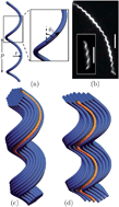 Graphical abstract: Frustration and packing in curved-filament assemblies: from isometric to isomorphic bundles