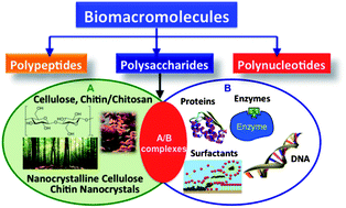 Graphical abstract: Sustainable nanomaterials derived from polysaccharides and amphiphilic compounds