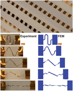 Graphical abstract: Buckling in serpentine microstructures and applications in elastomer-supported ultra-stretchable electronics with high areal coverage