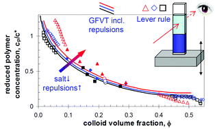 Graphical abstract: Phase behaviour of colloids with short-range repulsions plus nonadsorbing polymer chains