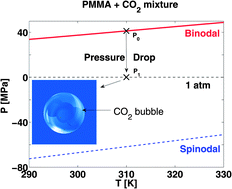 Graphical abstract: Bubble nucleation in polymer–CO2 mixtures