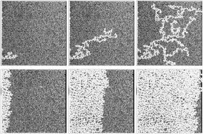 Graphical abstract: Drainage in two-dimensional porous media with polymer solutions