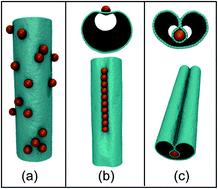 Graphical abstract: Collapsing nanoparticle-laden nanotubes