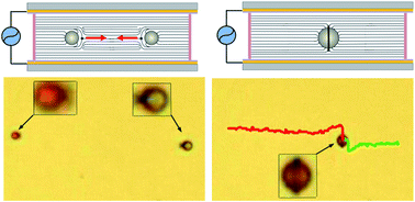 Graphical abstract: AC electrophoresis of microdroplets in anisotropic liquids: transport, assembling and reaction