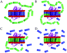 Graphical abstract: Self-assembling peptides form nanodiscs that stabilize membrane proteins