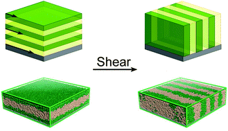 Graphical abstract: Simulations of shear-induced morphological transitions in block copolymers