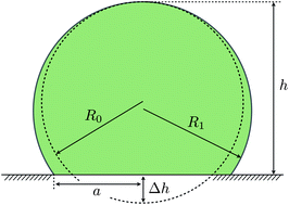 Graphical abstract: From adhesion to wetting of a soft particle