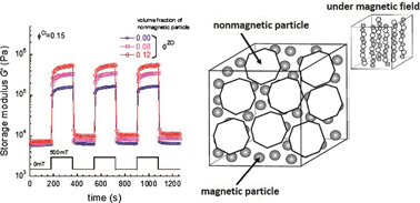 Graphical abstract: Enhancement of magnetoelastic behavior of bimodal magnetic elastomers by stress transfer via nonmagnetic particles