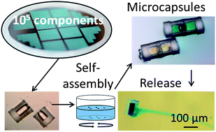 Graphical abstract: Fluid-mediated parallel self-assembly of polymeric micro-capsules for liquid encapsulation and release