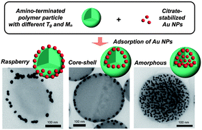 Graphical abstract: Fabrication of gold nanoparticle–polymer composite particles with raspberry, core–shell and amorphous morphologies at room temperature via electrostatic interactions and diffusion