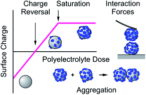 Graphical abstract: Polyelectrolyte adsorption, interparticle forces, and colloidal aggregation