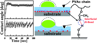 Graphical abstract: Probing substrate effects on relaxation dynamics of ultrathin poly(vinyl acetate) films by dynamic wetting of water droplets on their surfaces