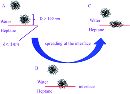 Graphical abstract: Poly(N-isopropylacrylamide) microgels at the oil–water interface: adsorption kinetics