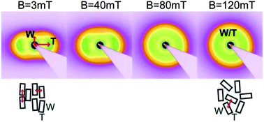 Graphical abstract: Tuning biaxiality of nematic phases of board-like colloids by an external magnetic field