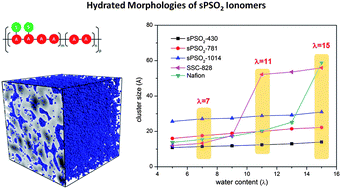 Graphical abstract: Mesoscale modeling of hydrated morphologies of sulfonated polysulfone ionomers