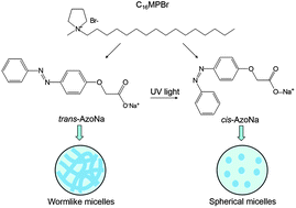 Graphical abstract: Photo-induced transformation from wormlike to spherical micelles based on pyrrolidinium ionic liquids