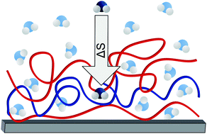 Graphical abstract: The entropy of water in swelling PGA/PAH polyelectrolyte multilayers