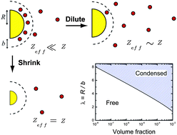 Graphical abstract: Counterion condensation on spheres in the salt-free limit