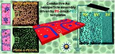 Graphical abstract: Selective confinement of oleylamine capped Au nanoparticles in self-assembled PS-b-PEO diblock copolymer templates