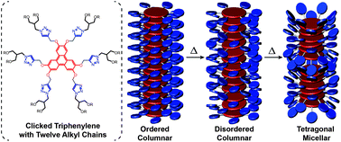 Graphical abstract: Supramolecular transformation from ordered columnar to disordered columnar to tetragonal micellar structures in clicked dodeca-alkylated discotic triphenylene liquid crystals