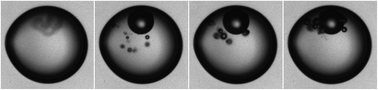Graphical abstract: The fast dynamics of cavitation bubbles within water confined in elastic solids