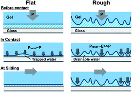 Graphical abstract: Friction of hydrogels with controlled surface roughness on solid flat substrates