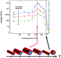 Graphical abstract: Yielding and flow of solutions of thermoresponsive surfactant tubes: tuning macroscopic rheology by supramolecular assemblies