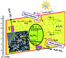 Graphical abstract: Synthesis of a novel and stable g-C3N4–Ag3PO4 hybrid nanocomposite photocatalyst and study of the photocatalytic activity under visible light irradiation