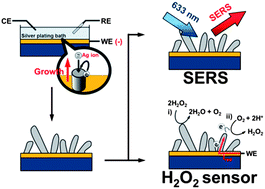 Graphical abstract: One-step electrochemical fabrication of vertically self-organized silver nanograss
