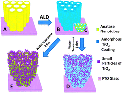 Graphical abstract: Formation of a crystalline nanotube–nanoparticle hybrid by post water-treatment of a thin amorphous TiO2 layer on a TiO2 nanotube array as an efficient photoanode in dye-sensitized solar cells