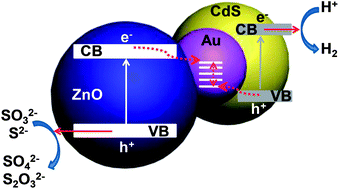 Graphical abstract: Self-assembled CdS/Au/ZnO heterostructure induced by surface polar charges for efficient photocatalytic hydrogen evolution