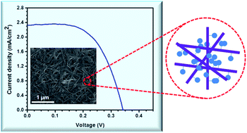 Graphical abstract: CdSe nanowire solar cells using carbazole as a surface modifier
