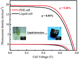 Graphical abstract: A novel polymer gel electrolyte for highly efficient dye-sensitized solar cells