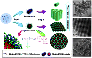 Graphical abstract: A systematic investigation of the formation of ordered mesoporous silicas using poly(ethylene oxide)-b-poly(methyl methacrylate) as the template