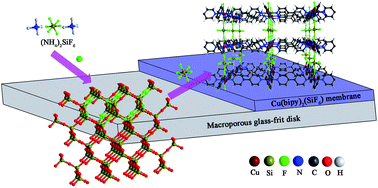 Graphical abstract: Facile synthesis of a continuous thin Cu(bipy)2(SiF6) membrane with selectivity towards hydrogen