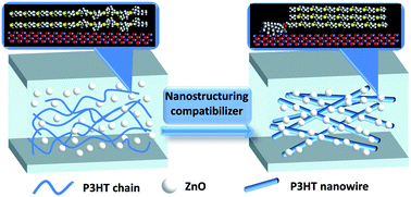 Graphical abstract: Understanding the mechanism of poly(3-hexylthiophene)-b-poly(4-vinylpyridine) as a nanostructuring compatibilizer for improving the performance of poly(3-hexylthiophene)/ZnO-based hybrid solar cells
