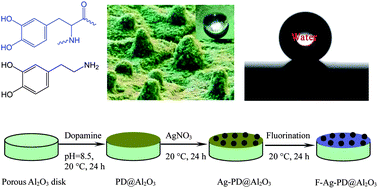 Graphical abstract: Polydopamine-based superhydrophobic membranes for biofuel recovery
