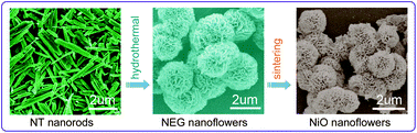 Graphical abstract: Nickel oxide nanoflowers: formation, structure, magnetic property and adsorptive performance towards organic dyes and heavy metal ions
