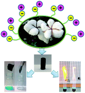 Graphical abstract: Low fractions of ionic liquid or poly(ionic liquid) can activate polysaccharide biomass into shaped, flexible and fire-retardant porous carbons