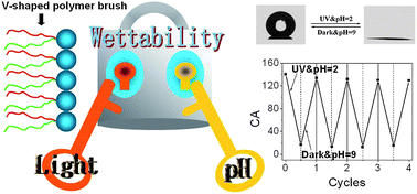 Graphical abstract: Polymer brush-functionalized surfaces with unique reversible double-stimulus responsive wettability