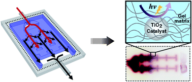 Graphical abstract: Biomimetic photocatalytic reactor with a hydrogel-embedded microfluidic network