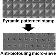 Graphical abstract: Tunable pore size micro/submicron-sieve membranes by soft lithography