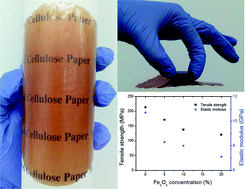 Graphical abstract: Strong transparent magnetic nanopaper prepared by immobilization of Fe3O4 nanoparticles in a nanofibrillated cellulose network