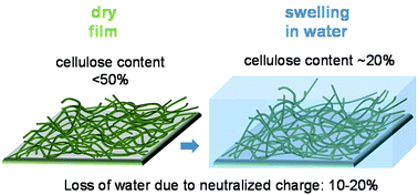 Graphical abstract: Specific water uptake of thin films from nanofibrillar cellulose