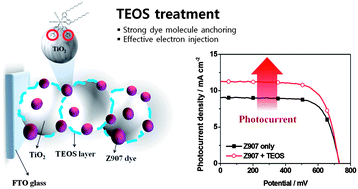 Graphical abstract: Promotion of strongly anchored dyes on the surface of titania by tetraethyl orthosilicate treatment for enhanced solar cell performance