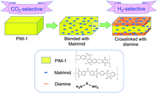Graphical abstract: Highly permeable chemically modified PIM-1/Matrimid membranes for green hydrogen purification