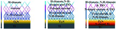 Graphical abstract: N-doped titanate nanostructures on gradient surface layer of one dimensional nanofibers synthesized on Ti electrode by chemical and thermal treatments