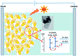 Graphical abstract: Orthorhombic/cubic Cd2SnO4 nanojunctions: enhancing solar water splitting efficiency by the suppression of charge recombination